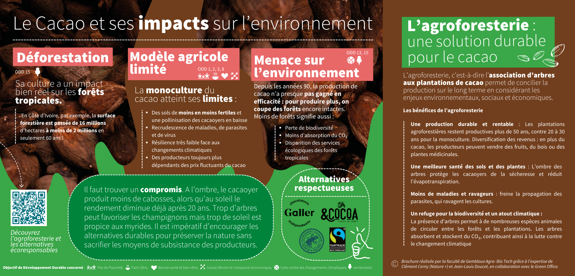 intérieur cacao 2